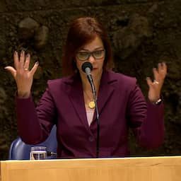Video | Staatssecretaris Palmen emotioneel tijdens debat over datakluis
