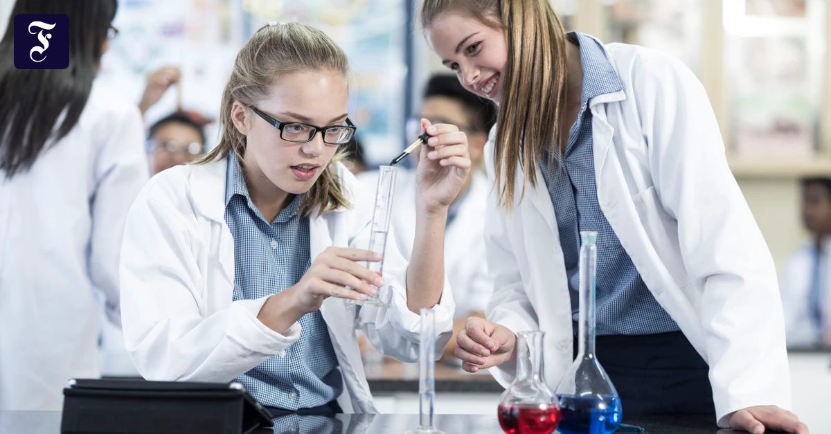 PISA-Studie: Chancengleichheit muss zum Standard werden