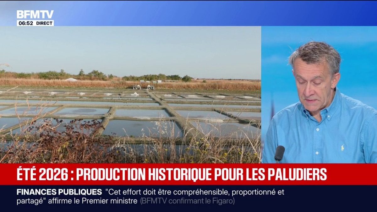 Été 2026: une production historique de sel pour les paludiers
