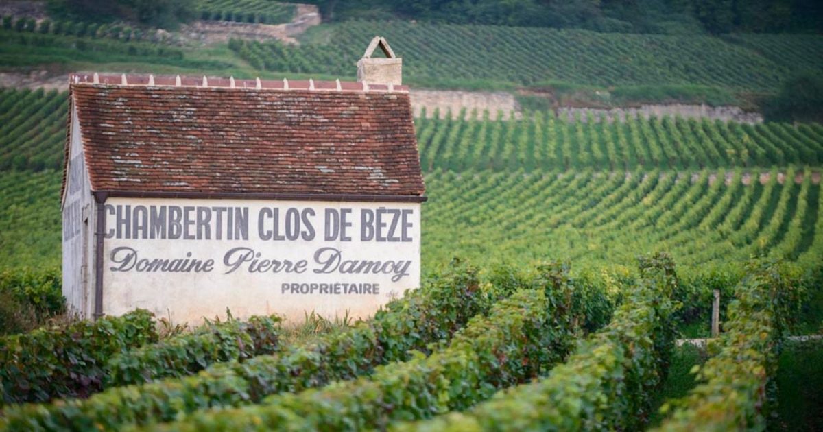 Foire aux vins : les grandes manœuvres dans le vignoble