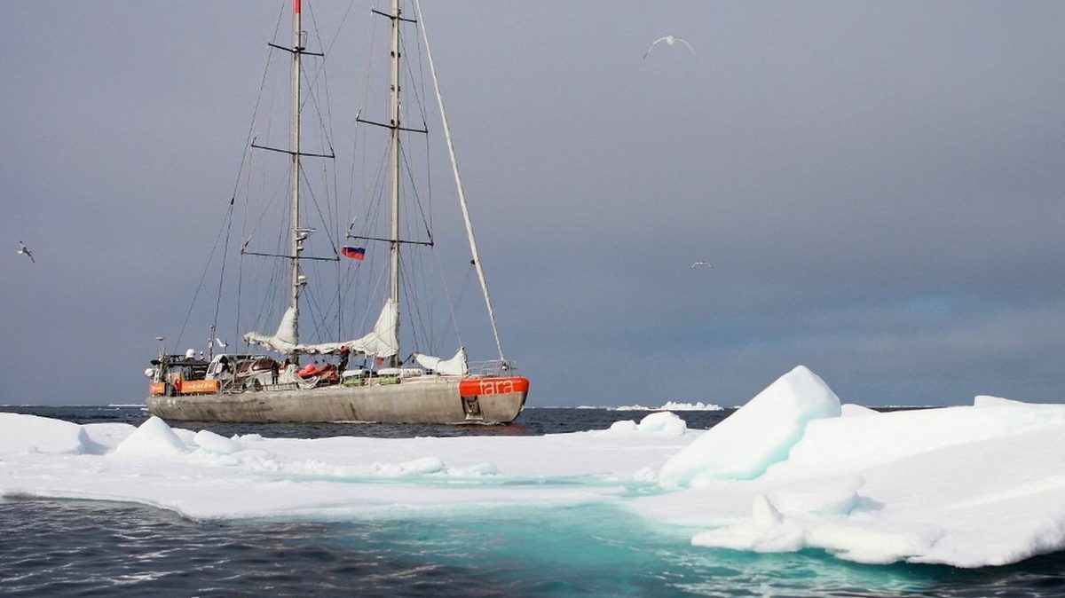 Réchauffement climatique : pourquoi l'Arctique est devenu un enjeu stratégique majeur pour l'Europe