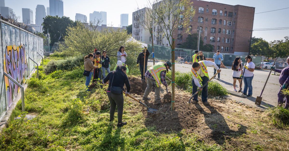 One L.A. school trades asphalt for trees and grass