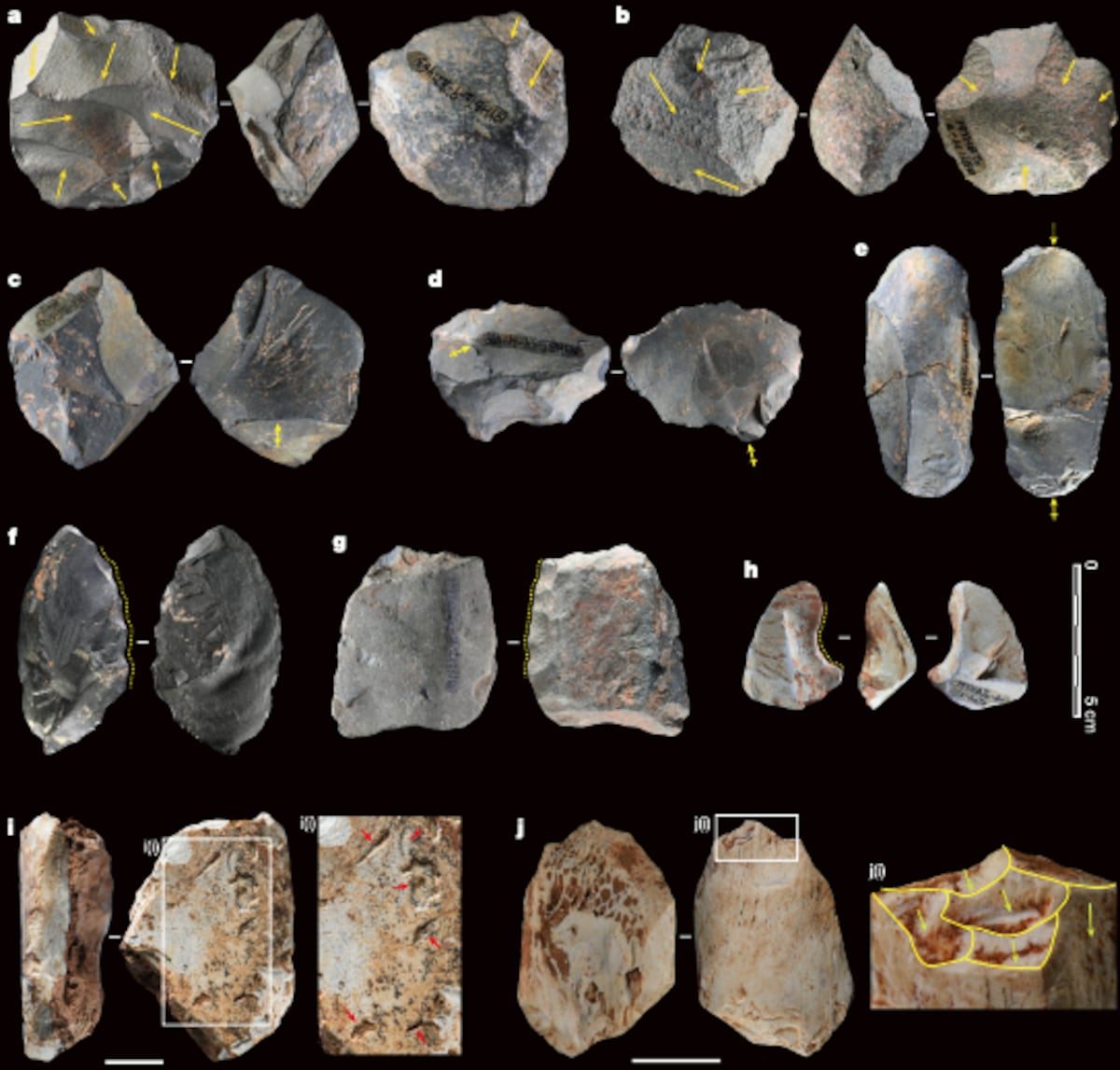 El nuevo enigma de los ancestros humanos más misteriosos: 120.000 años sin mejorar nunca sus herramientas