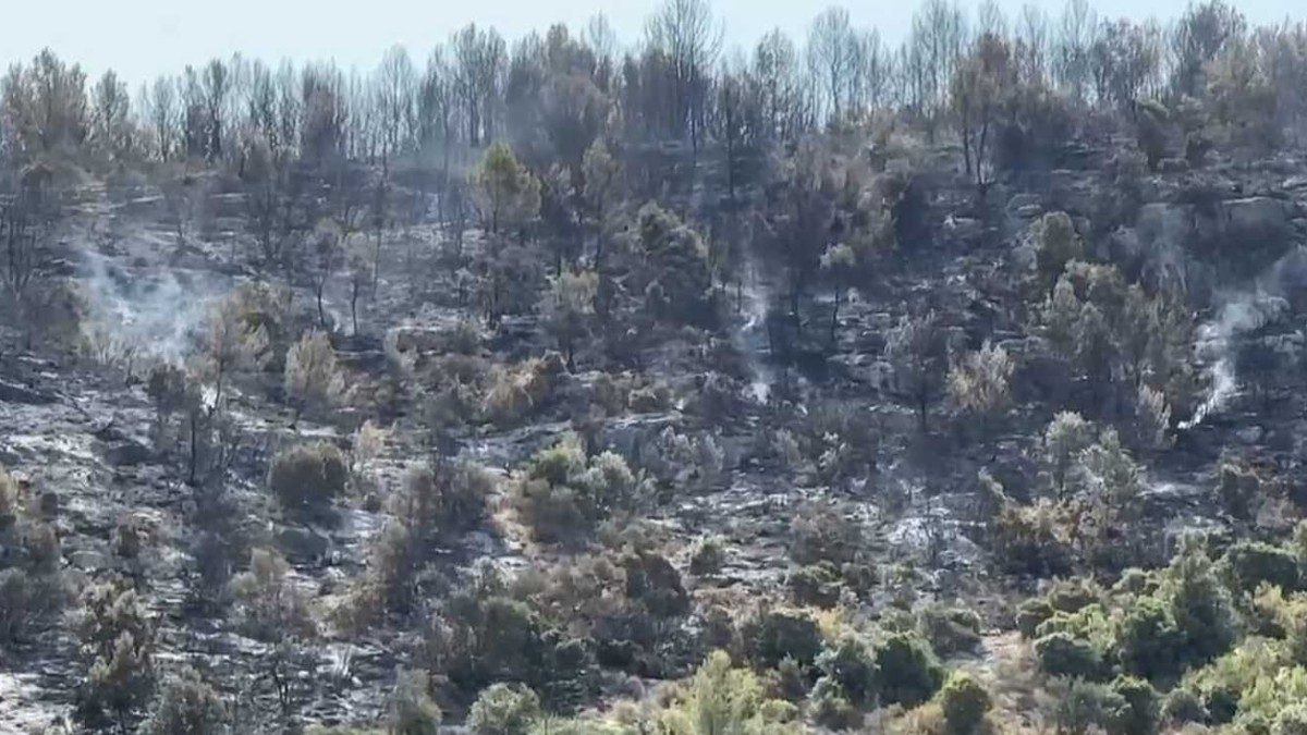 Volontario della Protezione civile arrestato per otto incendi dolosi nel Gargano. I sindaci: “Chiarire il movente di un…