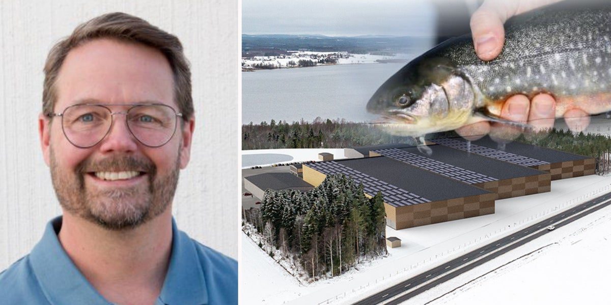 Jättesatsning på fiskodling kan ge 3 000 ton röding per år