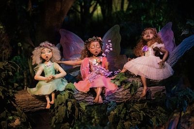 Mensen strooien stiekem as van geliefden uit in Efteling: ‘Droomvlucht en Sprookjesbos zijn populair’
