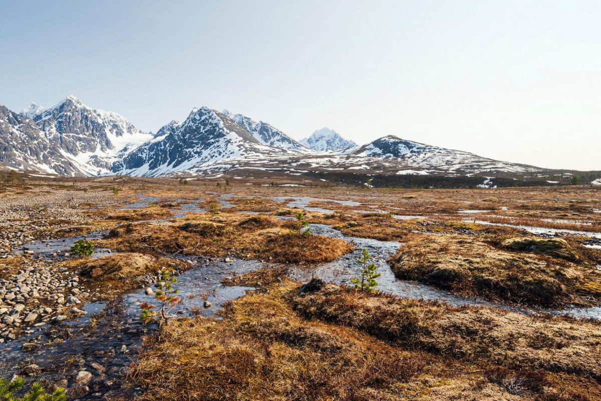 Natural feedbacks will warm world an extra 20 per cent this century