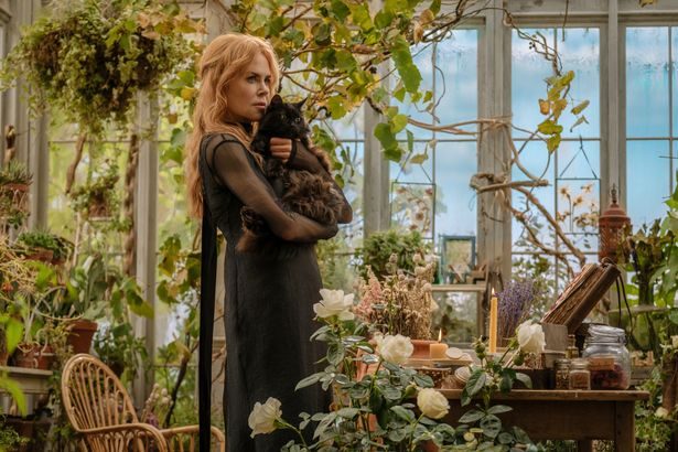 Oscar winner Nicole Kidman praises scene stealing cat's performance in Practical Magic 2