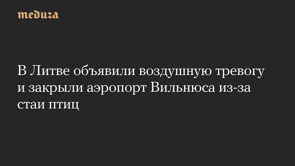 В Литве объявили воздушную тревогу и закрыли аэропорт Вильнюса из-за стаи птиц