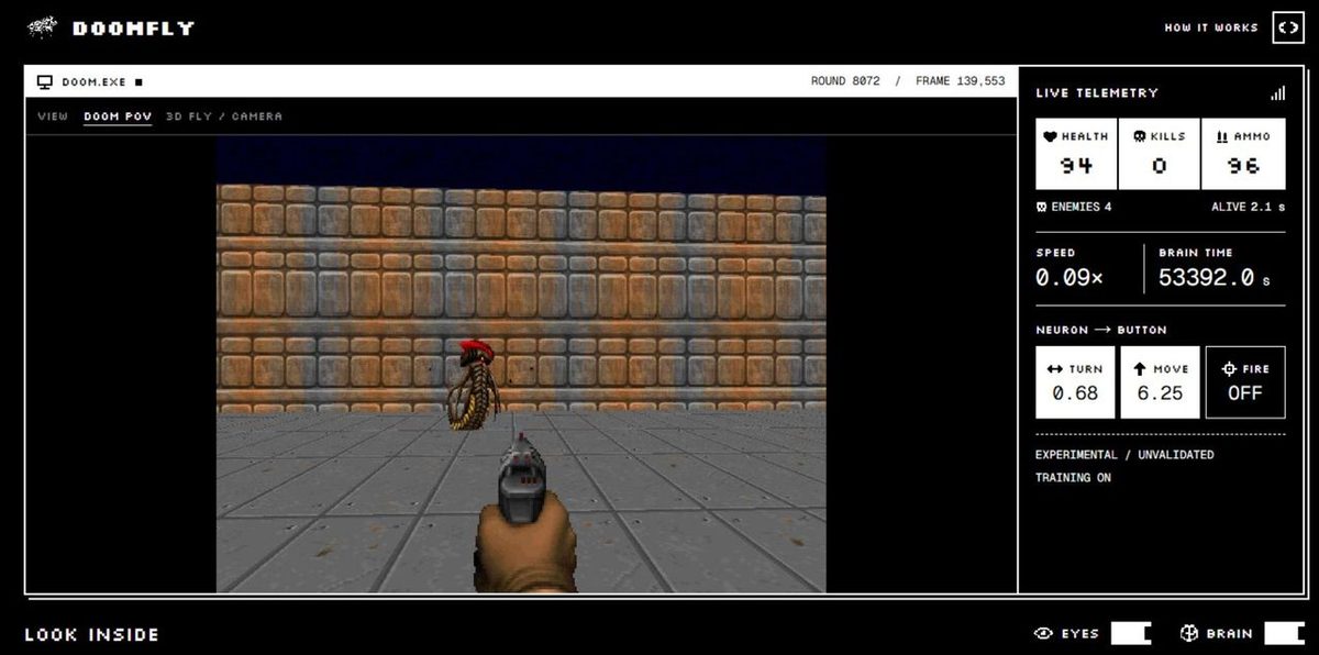 Kolla när en "bananfluga" spelar DOOM
