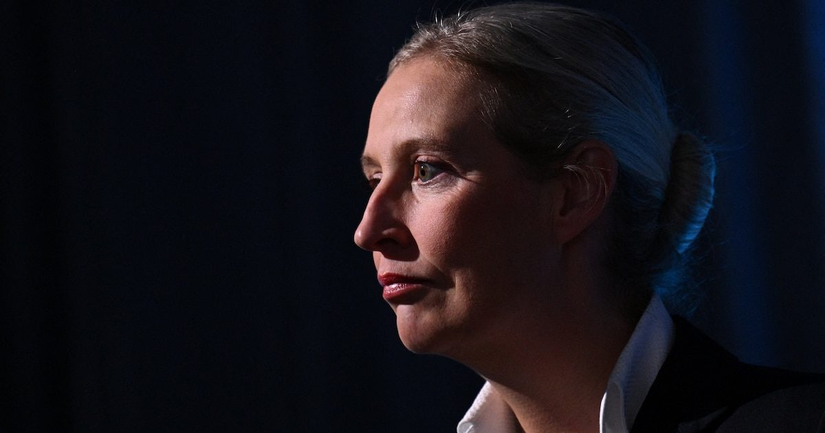 "Elle ment comme elle respire" : Alice Weidel, la "princesse de glace" de l'AfD prise au piège de sa radicalisation