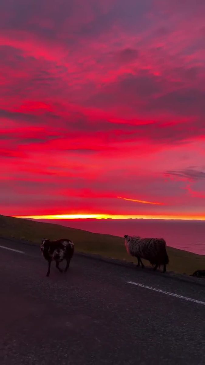 Amazing landscapes in Iceland. 🔥