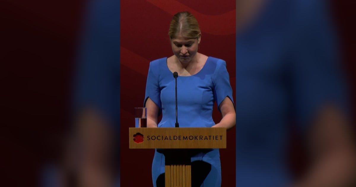 Holbæks stemmesluger valgt som næstformand for S