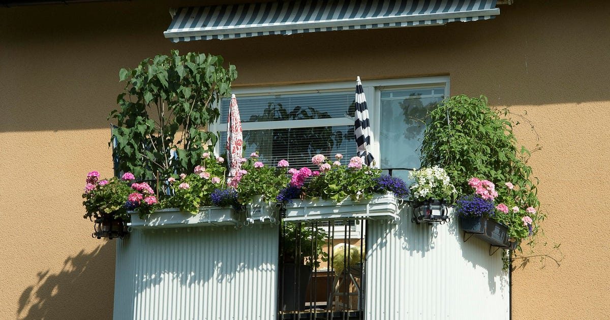 Insändare. Moderaterna måste ge besked till Stockholms hyresgäster
