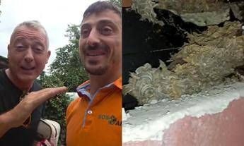 Pierluigi Diaco e Alessio Orsingher punti dalle vespe in casa, interviene il disinfestatore: "Nido enorme"