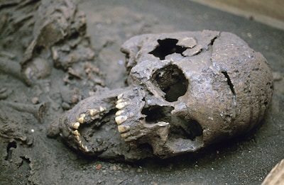 Dankzij 25.000 jaar oude tanden: archeologen vinden oudste bewijs van regelmatig drugsgebruik in Indonesië