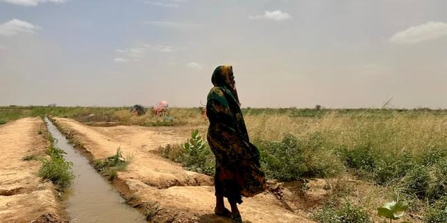 En Ethiopie, le changement climatique pousse les éleveurs pastoraux à se convertir à l’agriculture vivrière : « C’est l…