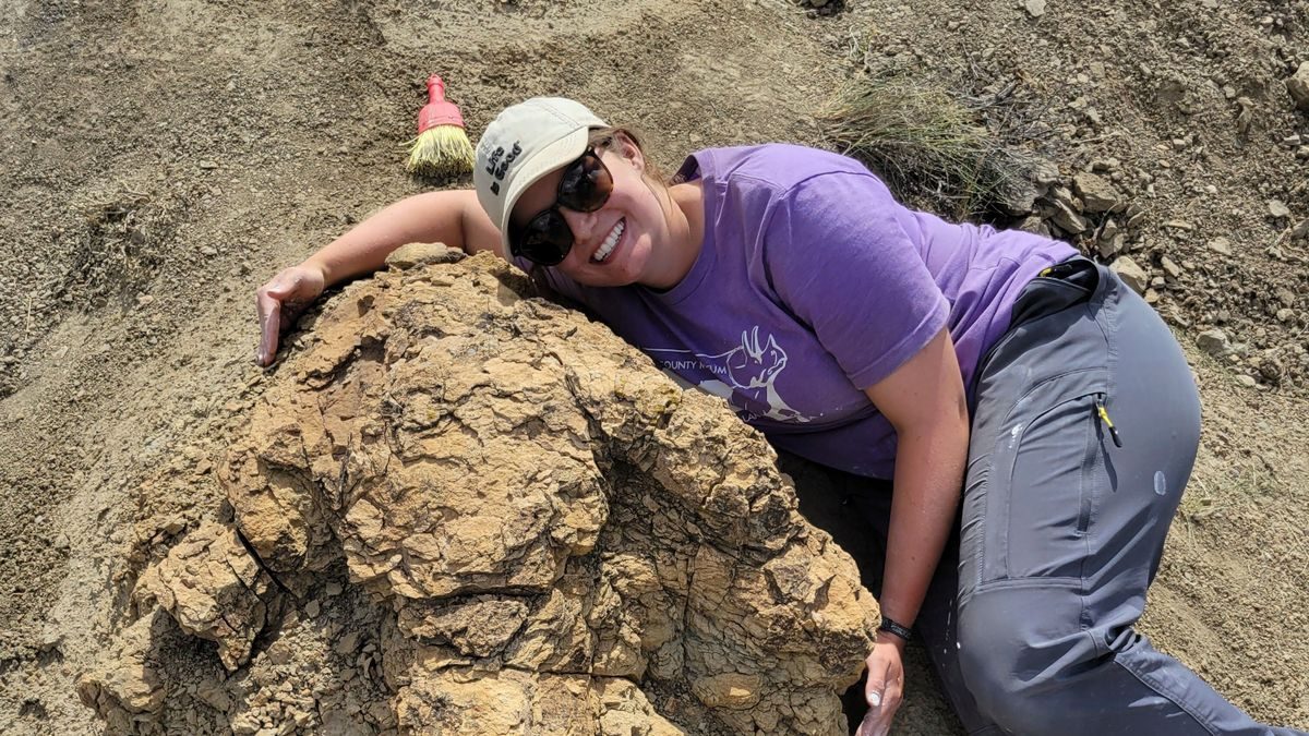 Spuren in North Dakota: Der Tyrannosaurus rex war hier – vor über 60 Millionen Jahren