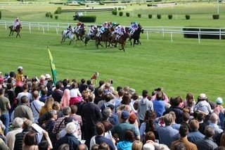 Courses hippiques : un projet de France Galop rebat les cartes des hippodromes en Maine-et-Loire