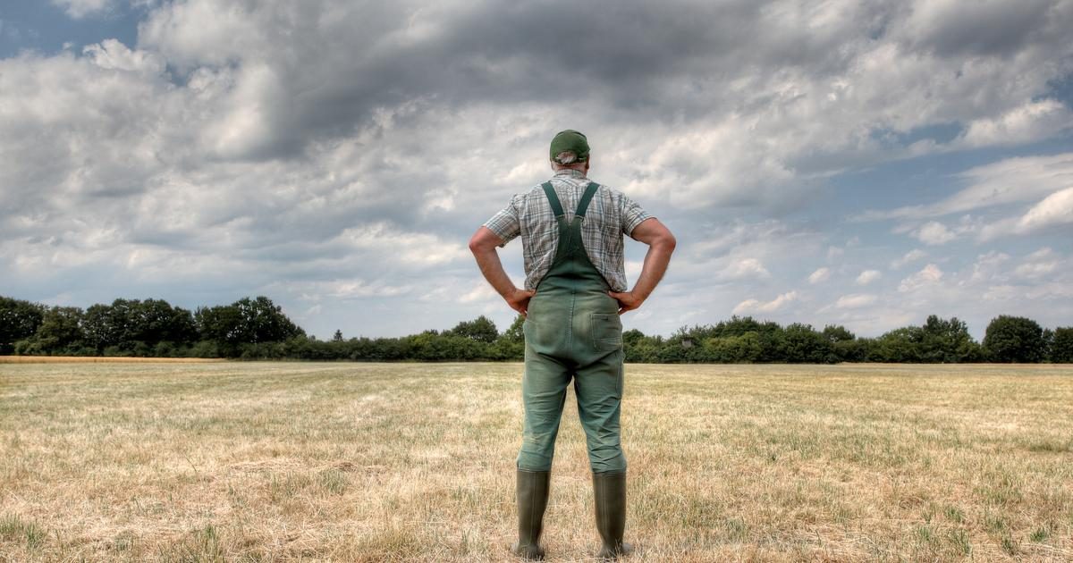 Agriculture sinistrée, chantiers à l’arrêt… Le lourd impact économique de l’été caniculaire estimé par l’Insee