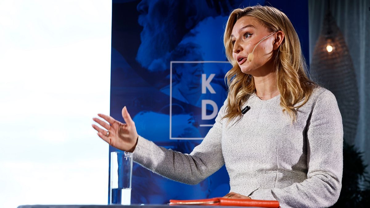 Busch: Veckor av påhopp från M och SD