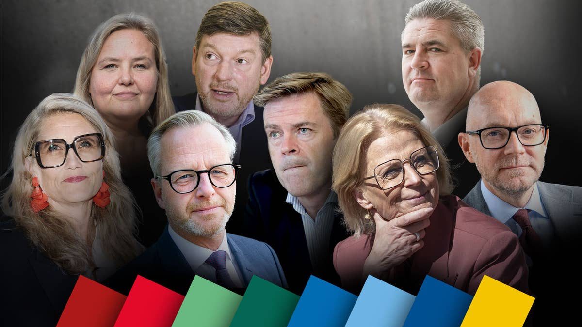 Di:s stora ekonomiska enkät: Här är samtliga partiers svar