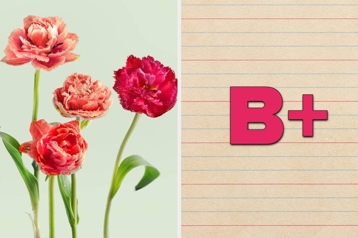 Only People With Advanced Plant Knowledge Can Pass This Tricky Botany Quiz