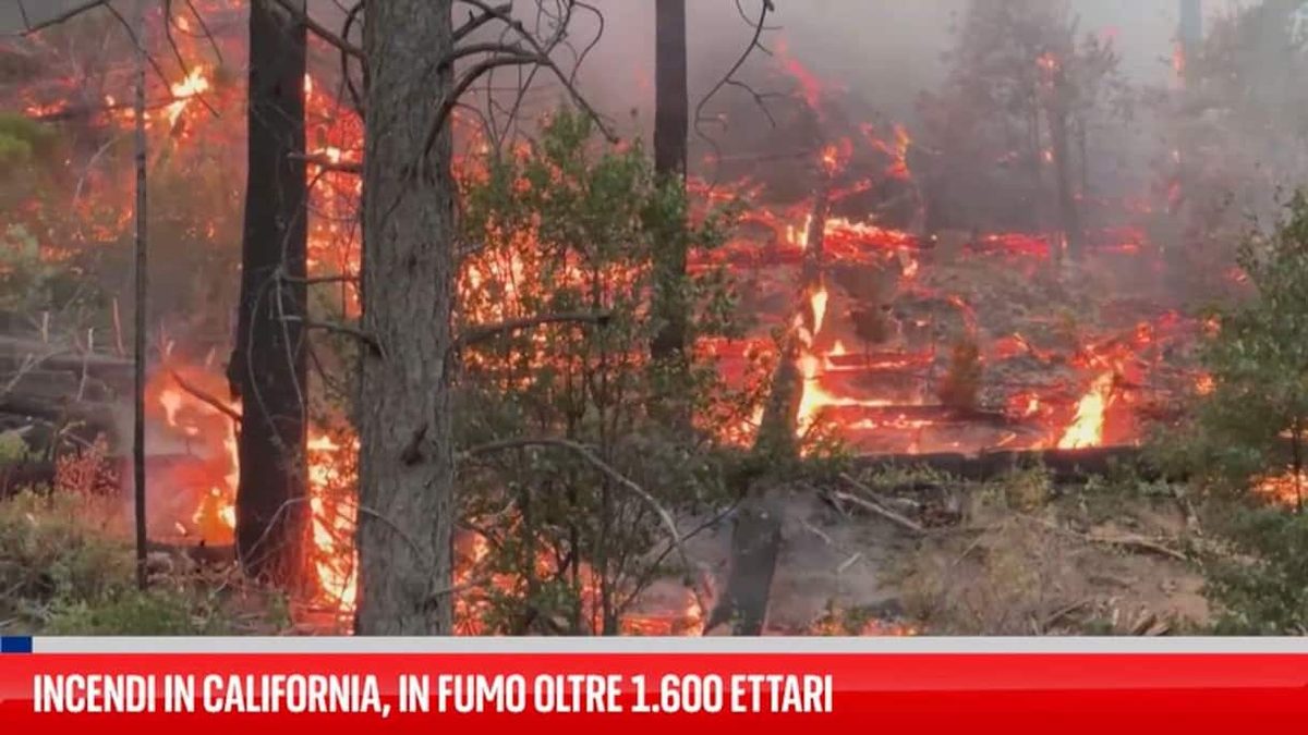 Incendi in California, in fumo oltre 1.600 ettari