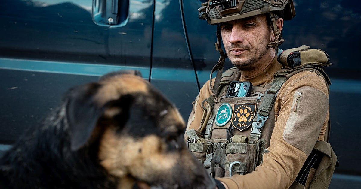 Salvando a los perros de la guerra de Ucrania