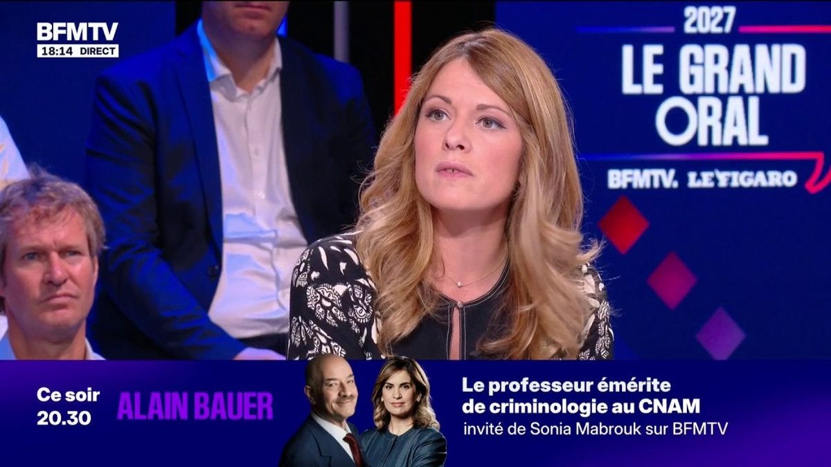 Plafonnement des prix des carburants: "J'aimerais avoir une baguette magique", ironise Maud Bregeon, porte-parole du go…
