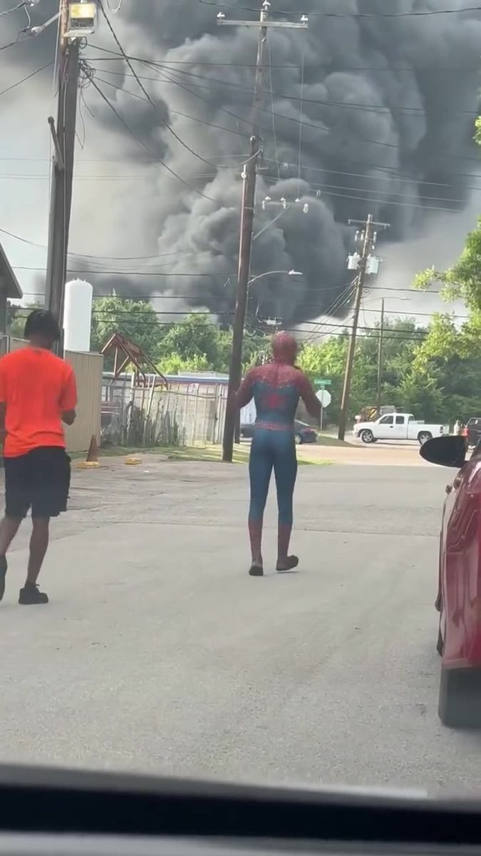 Spiderman for the rescue 🕸️🕷️