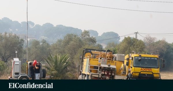 Un incendio forestal en Moguer (Huelva) moviliza a cuatro aeronaves