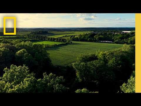 loving how this regenerative agriculture video shows the beauty of sustainable farming practices