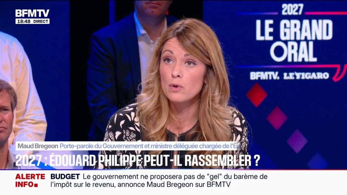 Présidentielle 2027: "Pour tous les ministres, s'ils sont pleinement à leur tâche, ça ne les empêche pas d'apporter leu…