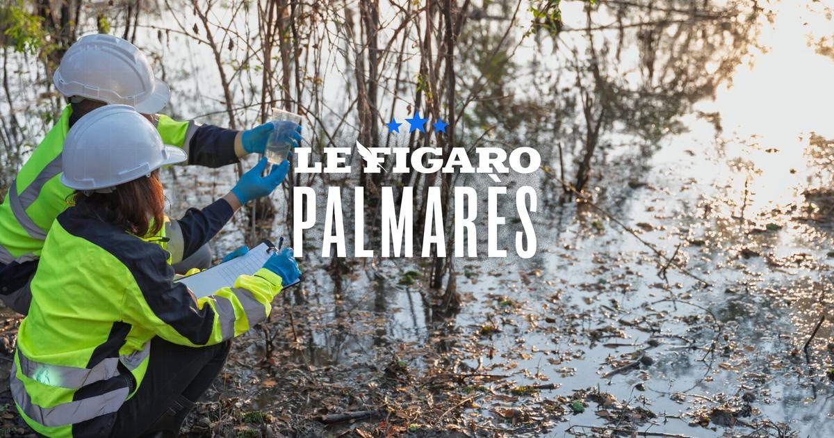 « Des emplois concrets, où l’on se sent utile » : notre palmarès des métiers de plein air les mieux rémunérés