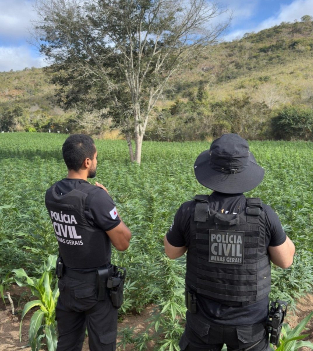 Alerta de tempestade, morte de criança atingida por muro e mulher atropelada por esposa de prefeito; veja as mais lidas