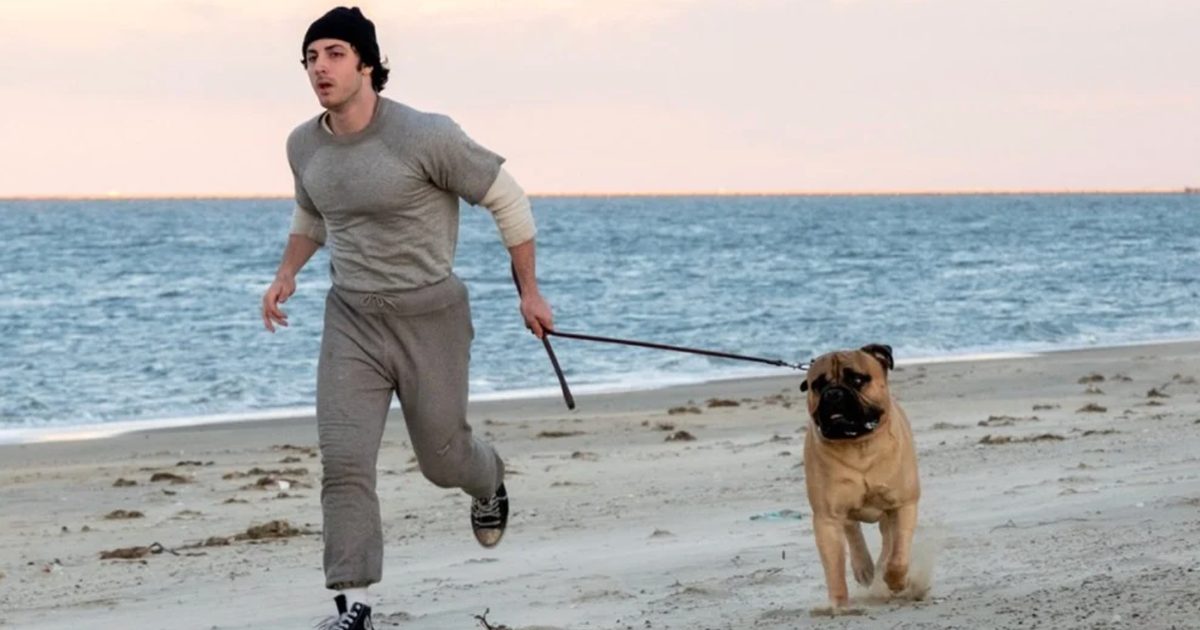 I Play Rocky Is Endearing, Despite Itself