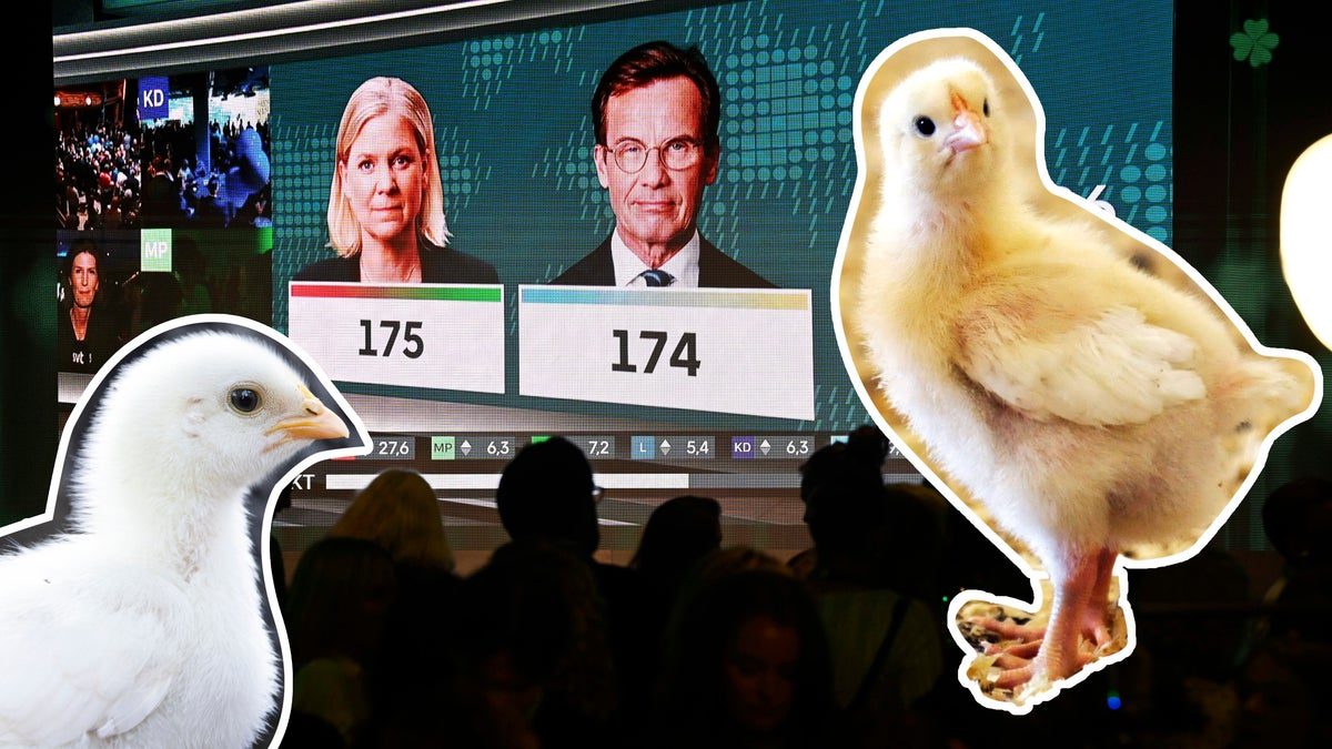Enorm press väntar på flera partier – vem förlorar the chicken race?