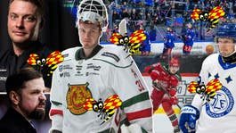 Stor ranking: Så bra är alla lag i hockeyallsvenskan – getingbetyg på alla lagdelar