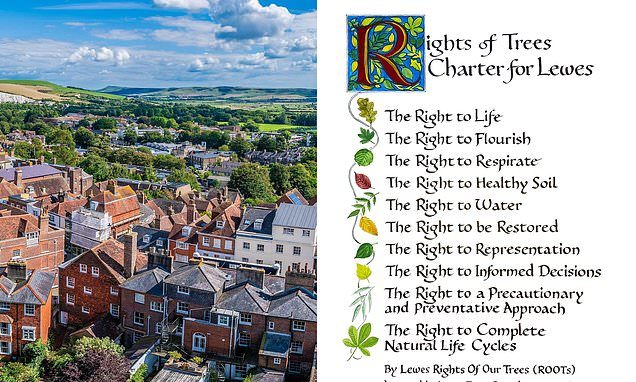 Town becomes first in Britain to give trees rights as it says plants should be able to 'flourish'
