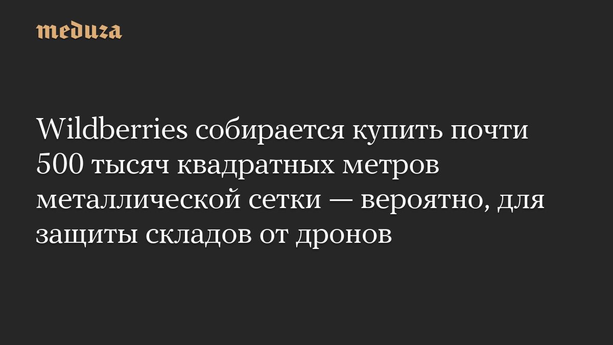 Wildberries собирается купить почти 500 тысяч квадратных метров металлической сетки — вероятно, для защиты складов от д…