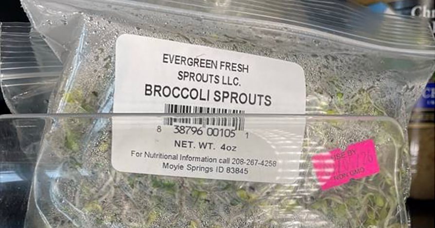 Salmonella Outbreak That Sickened 22 Is Linked to Broccoli Sprouts From Idaho