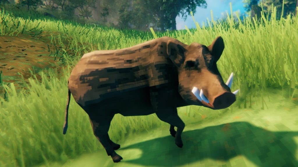 Sanglier Valheim 1.0 : Où trouver cet animal et comment en faire l'élevage ?
