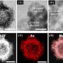 Peptide position determines whether gold nanoparticles branch or stay spherical