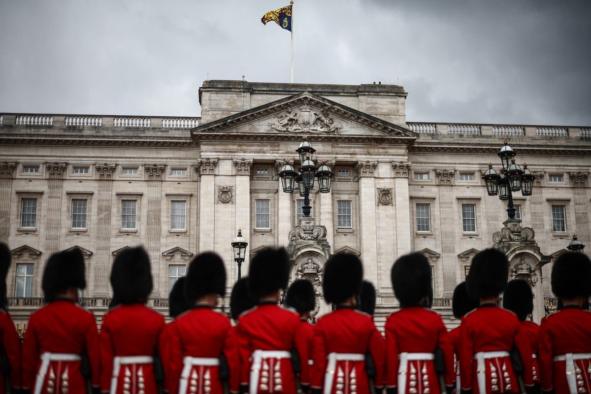 Buckingham Palace guards should swap bearskin caps with fake fur, MPs say