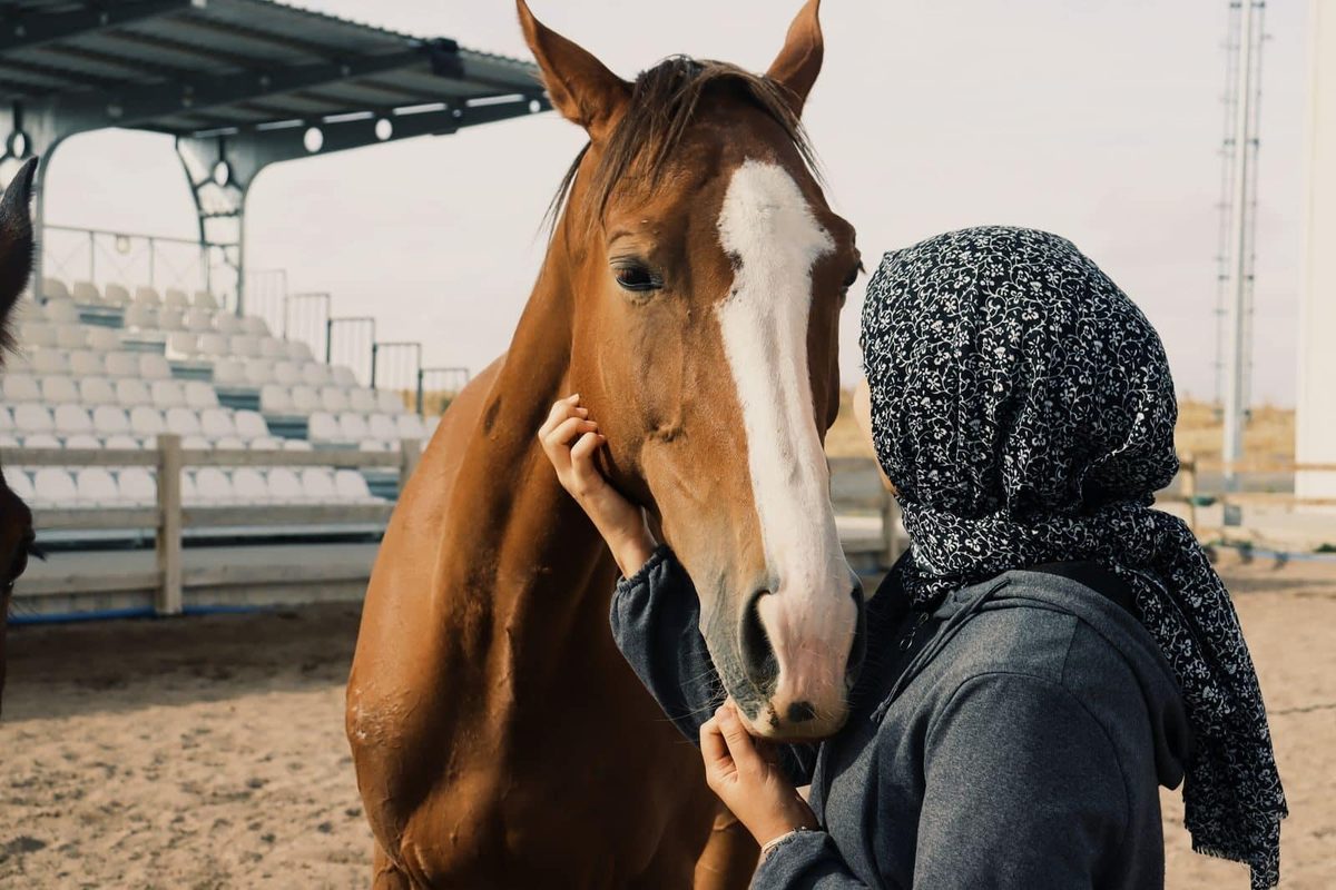 Trots paardenbaasje? Je hebt zelf invloed op de persoonlijkheid van het dier