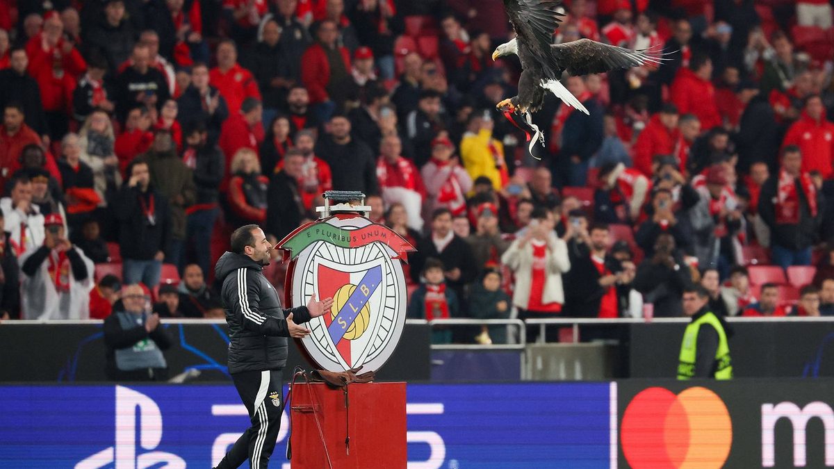 Gigantyczna afera w klubie reprezentanta Polski