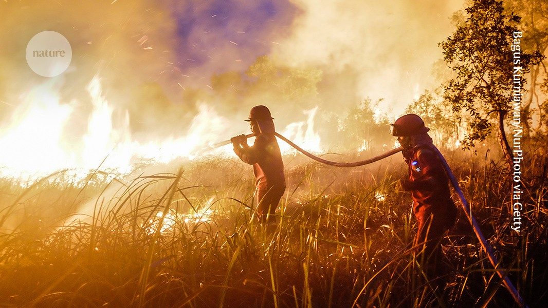 The super El Niño is already wreaking havoc: here’s what’s in store