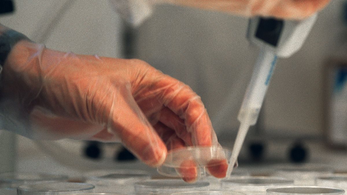 Svensk cancerbehandling botade möss med aggressiv leukemi