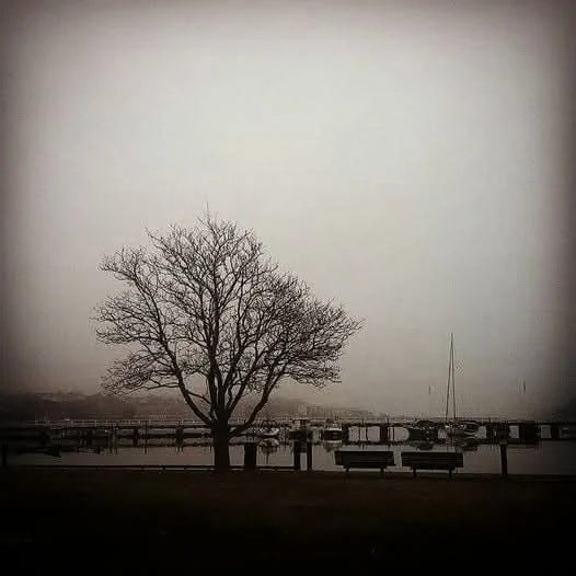 Where time stands still. A foggy morning walk from a few years back.